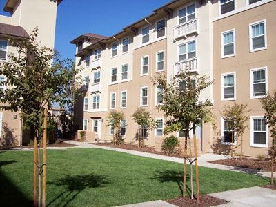 Open courtyard, four stories visible, lawn surrounded by several young trees in small wood-chip plots