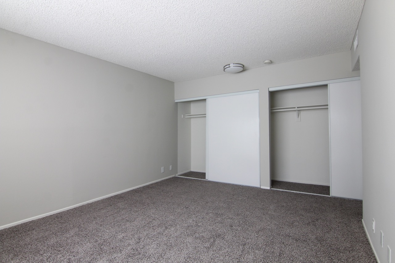 View of a bedroom with two closets. Floor is carpeted.