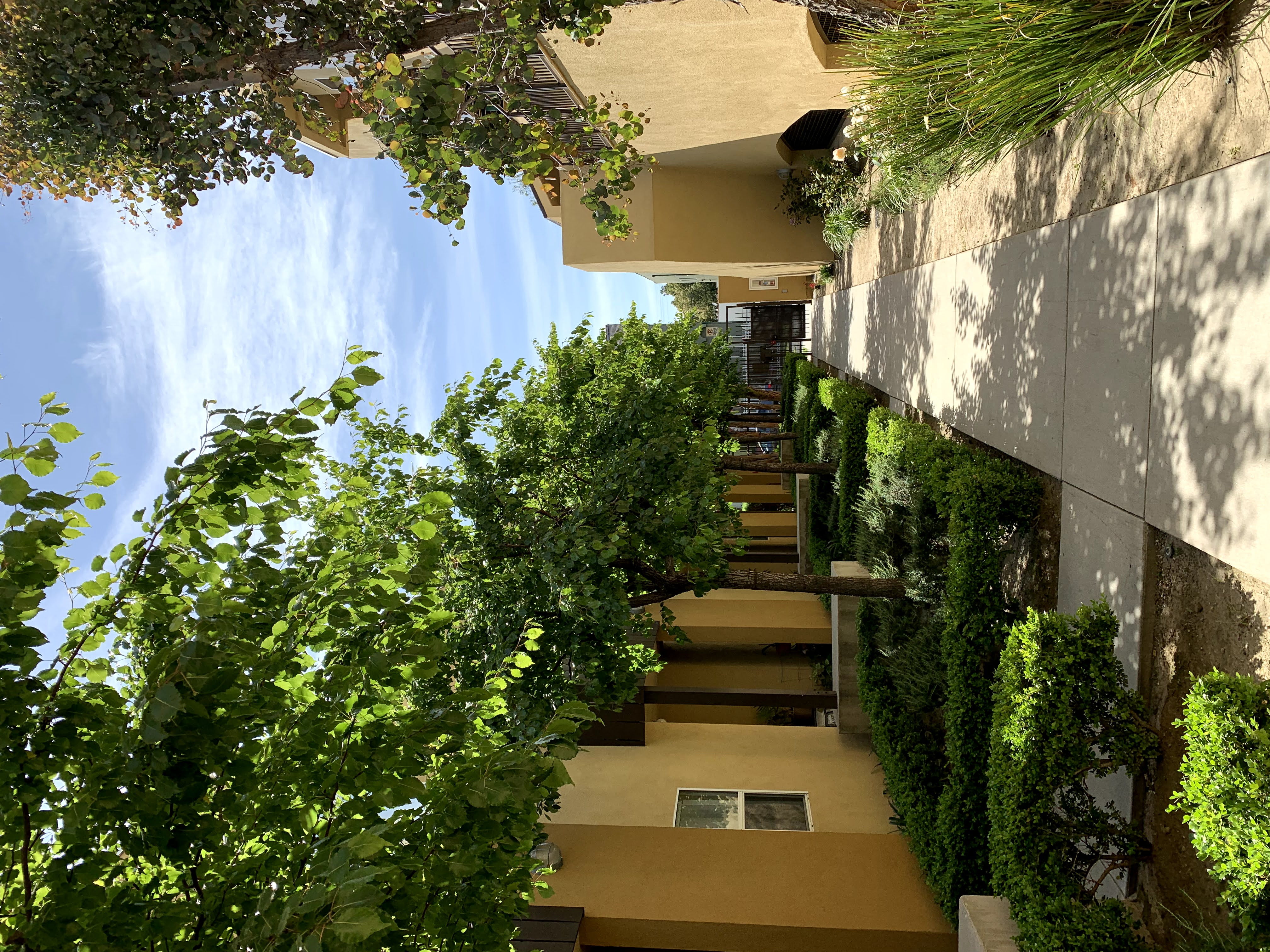 Walkway in between the buildings