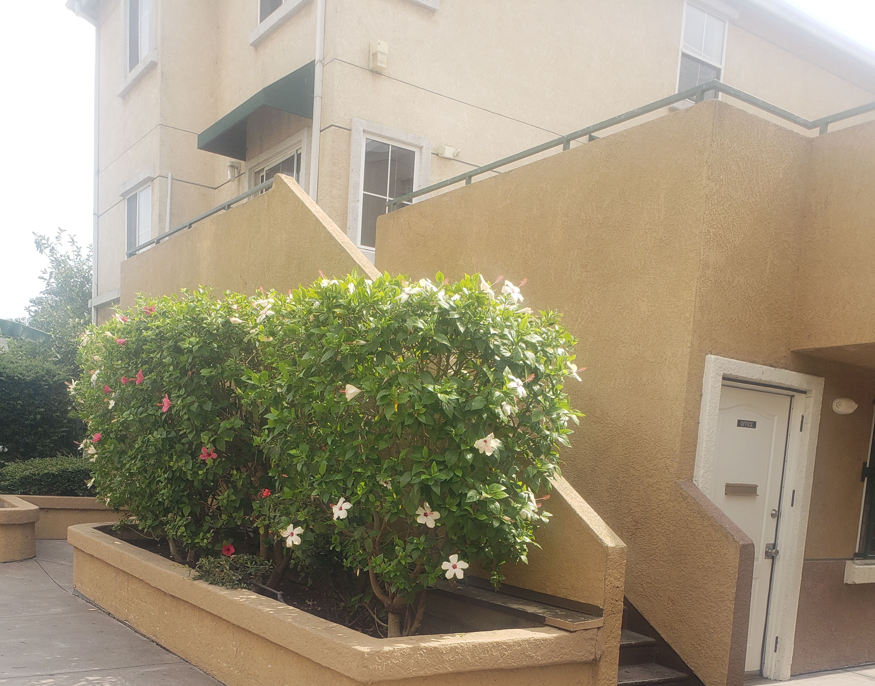 Photo of courtyard of multi-level building, showing plants, stair access and door to office.