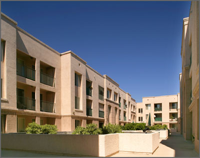 Side view of a courtyard, big concrete planters. Buildings surrounding the planters.