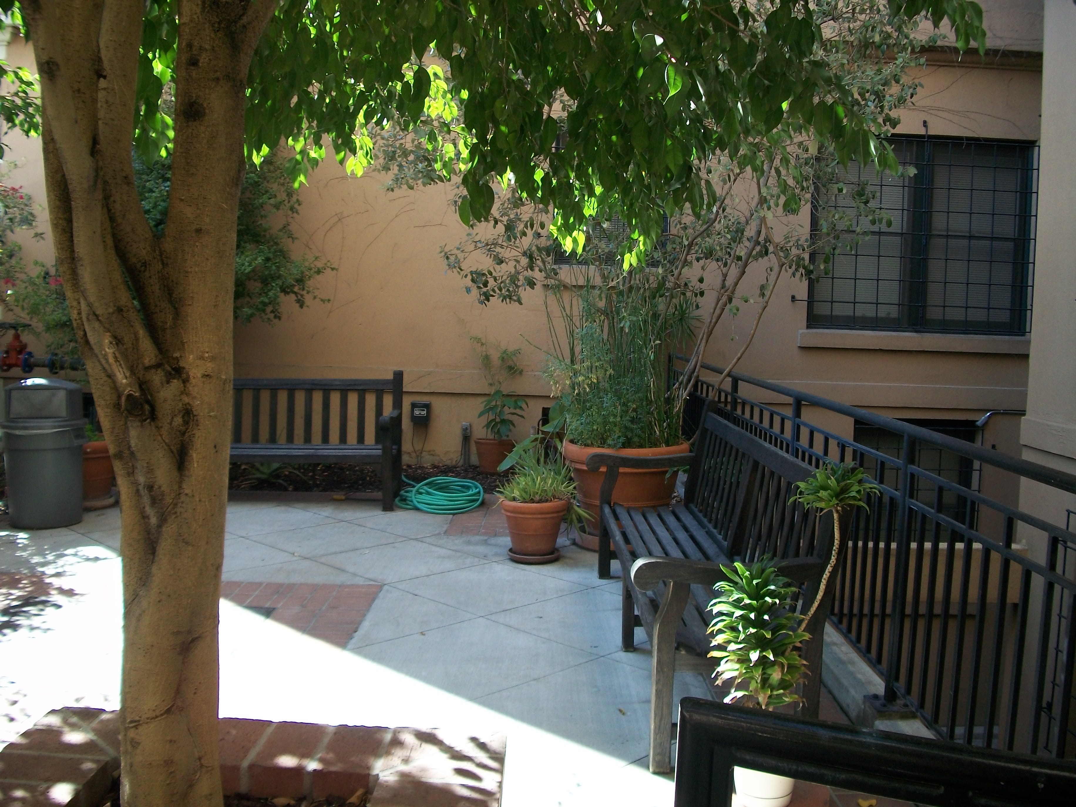 Exterior view of the Courtyard at the Young Apartments. Large tree with benches along the wall and railings and potted plants