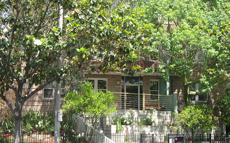 Front view of the building, mostly covered by plants and trees, stairway with handrails.