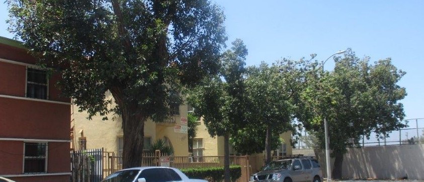 Street view of the property with full trees on sidewalk in front of the building