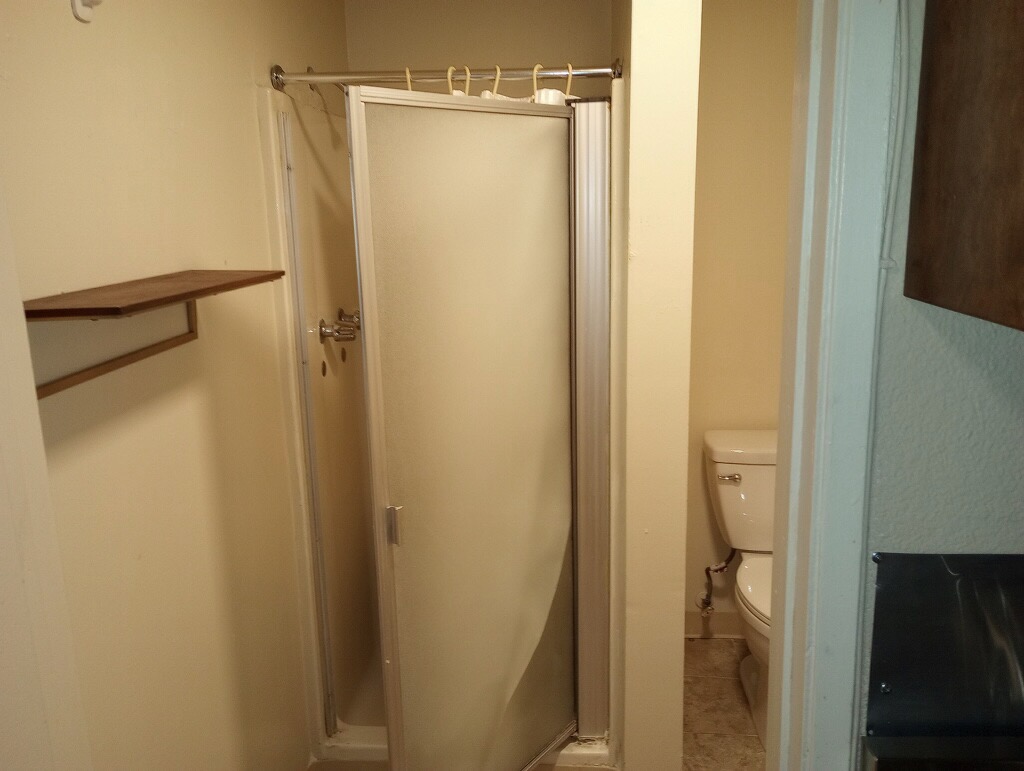 Photo showing walking shower and toilet.