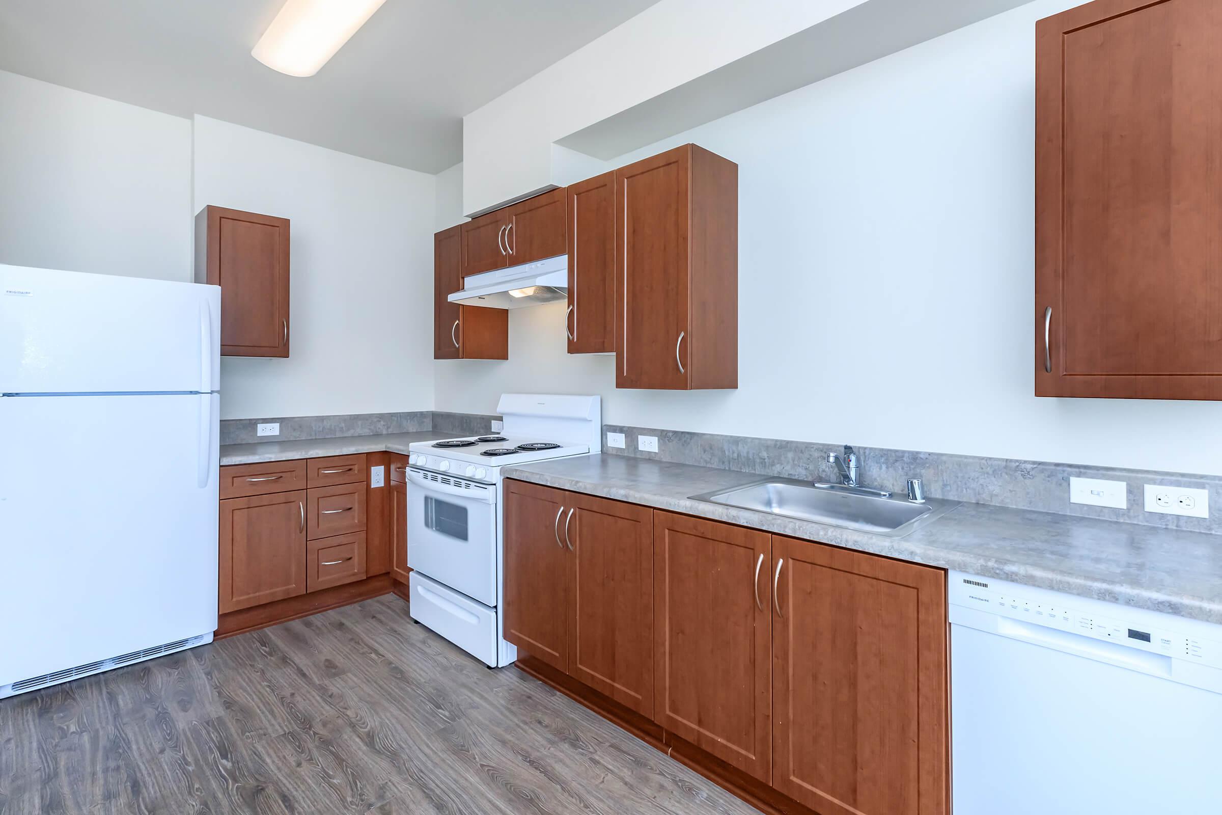 Kitchen - Unit includes Refrigerator, Electric Stove and Dishwasher.