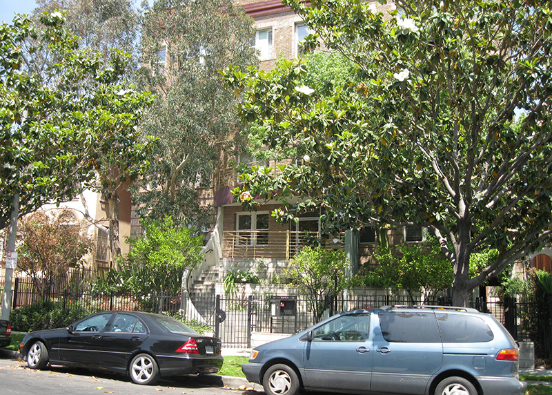 View of the main entrance mostly covered by plants and trees, parked cars.