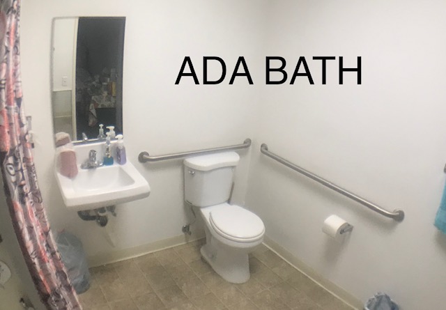 Image of bathroom with sink, mirror, and bar handles next to toilet