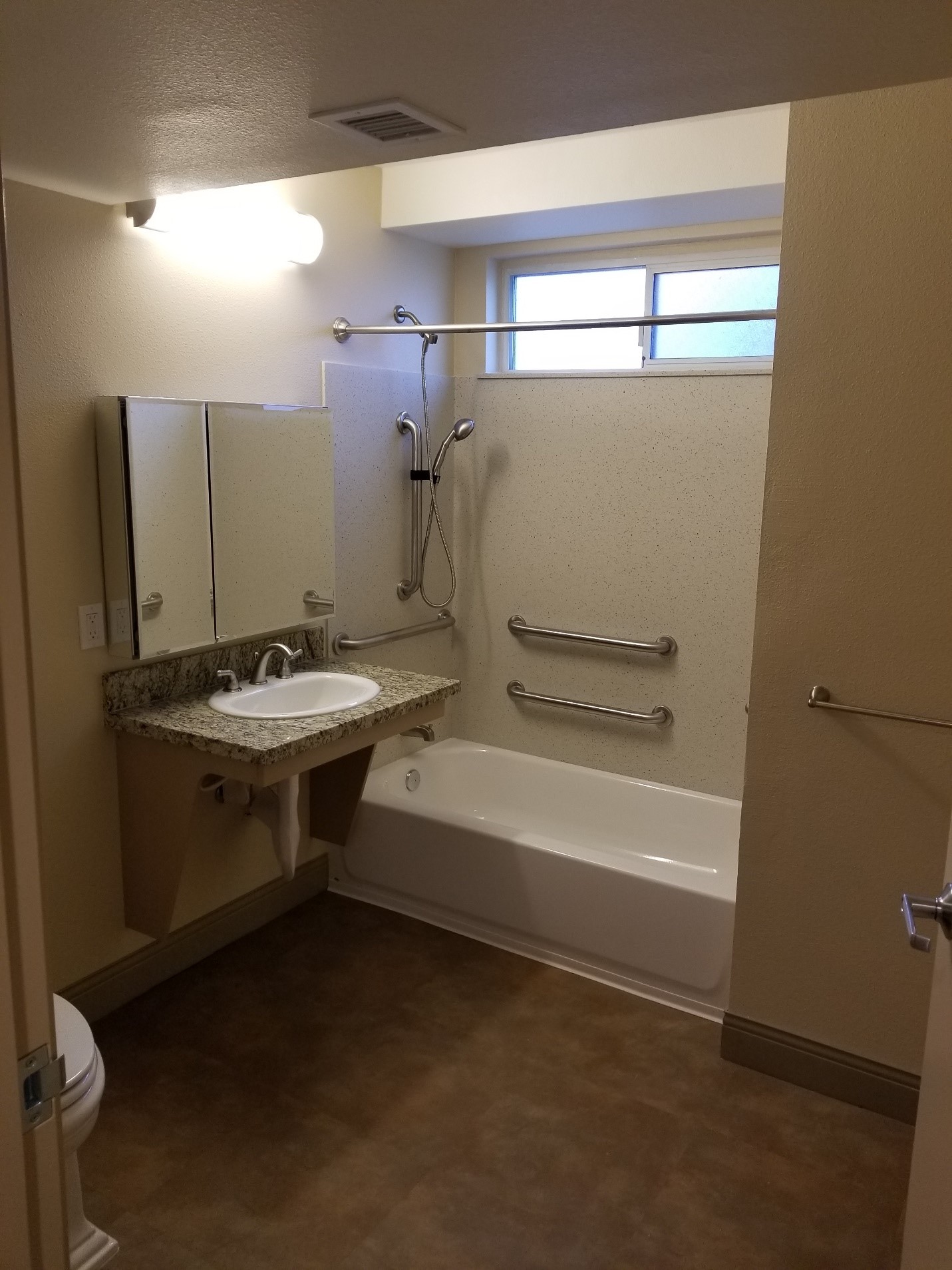 Accessible bathroom: lowered sink, shower bath with grab bars and snake shower head