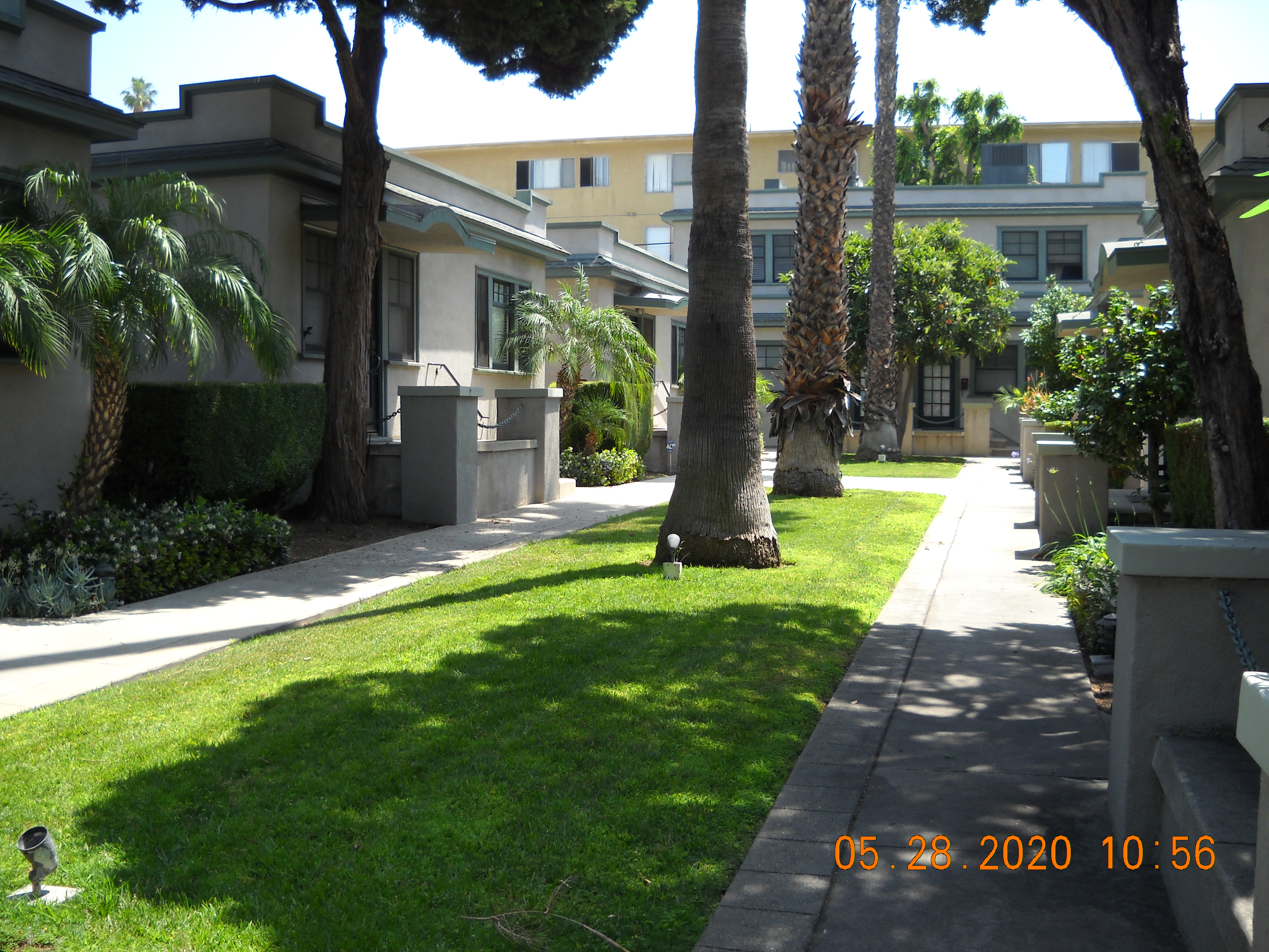 Courtyard with grass and palm tree area in the middle. On the sides are two passagewaysthat lead to units. Units are separated and are one story. Straight ahead, the unit in sight is two stories.