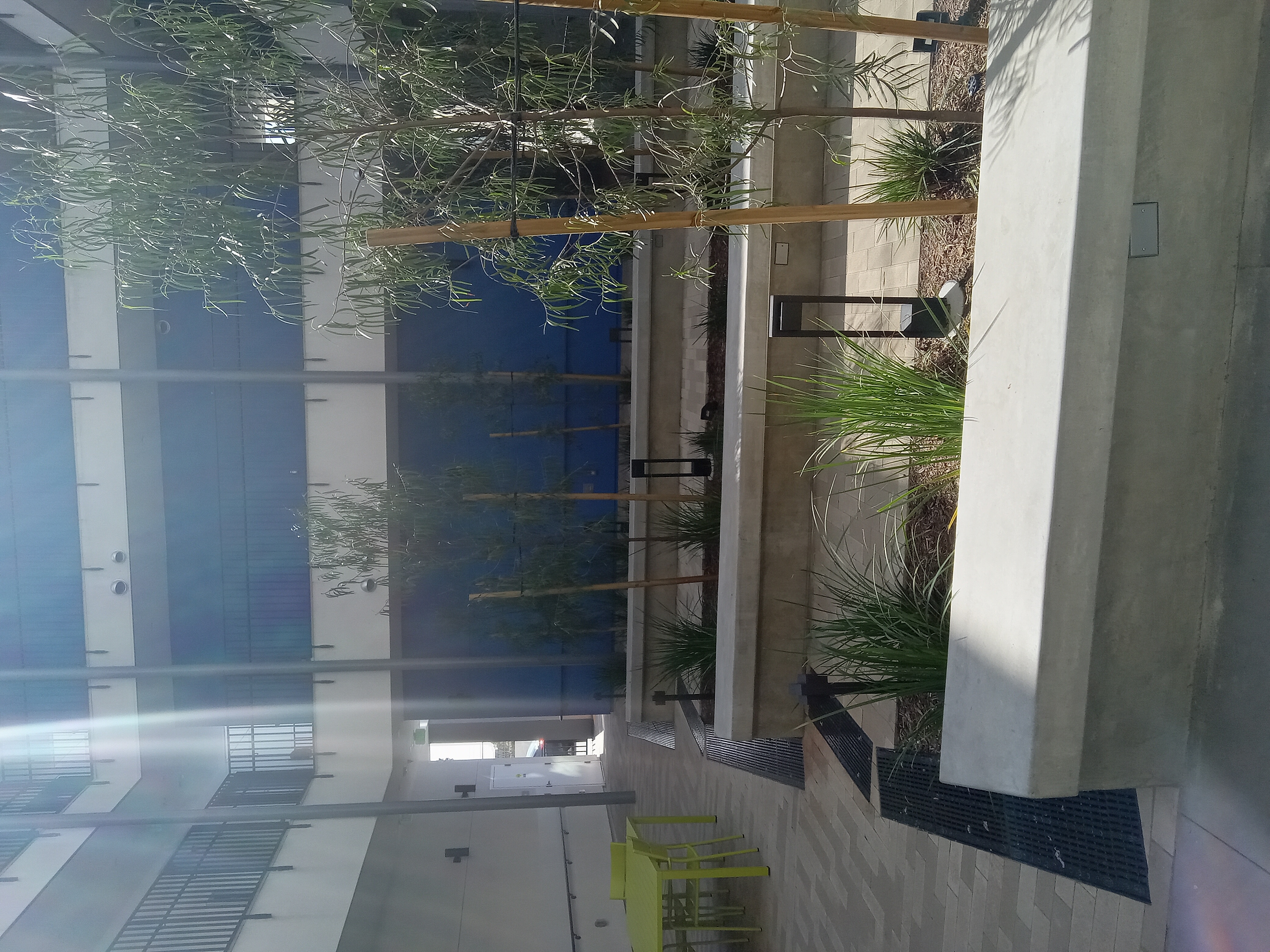 Central courtyard: blue and white walls, black railing, lime-green picnic table, concrete benches with plants down middle