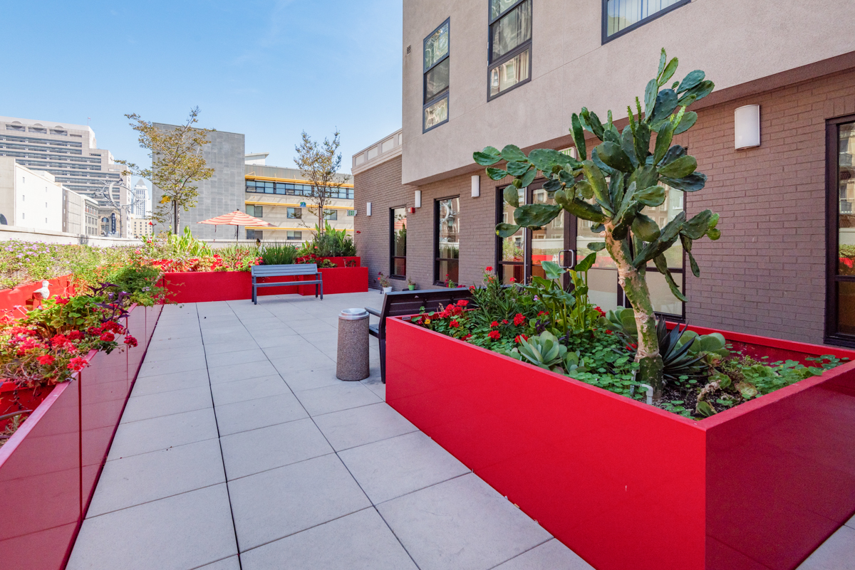 View of a courtyard, big red square concrete planters, cactus plant, red flowers and benches.