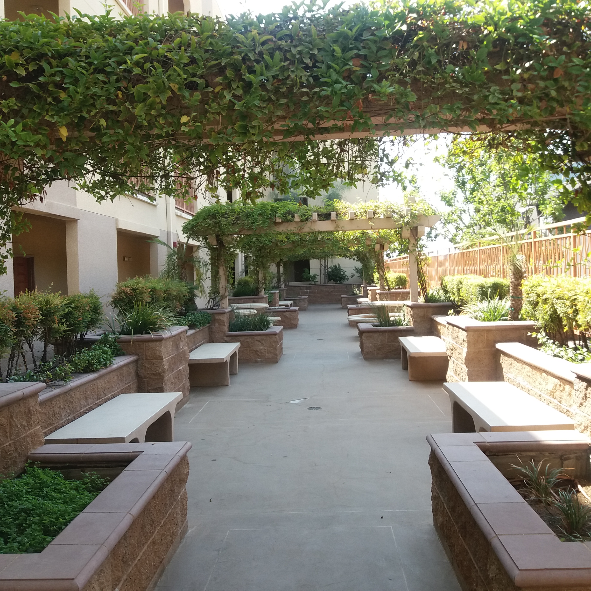 Courtyard with benches, overhead sections of plants, and bricked sections for plants.