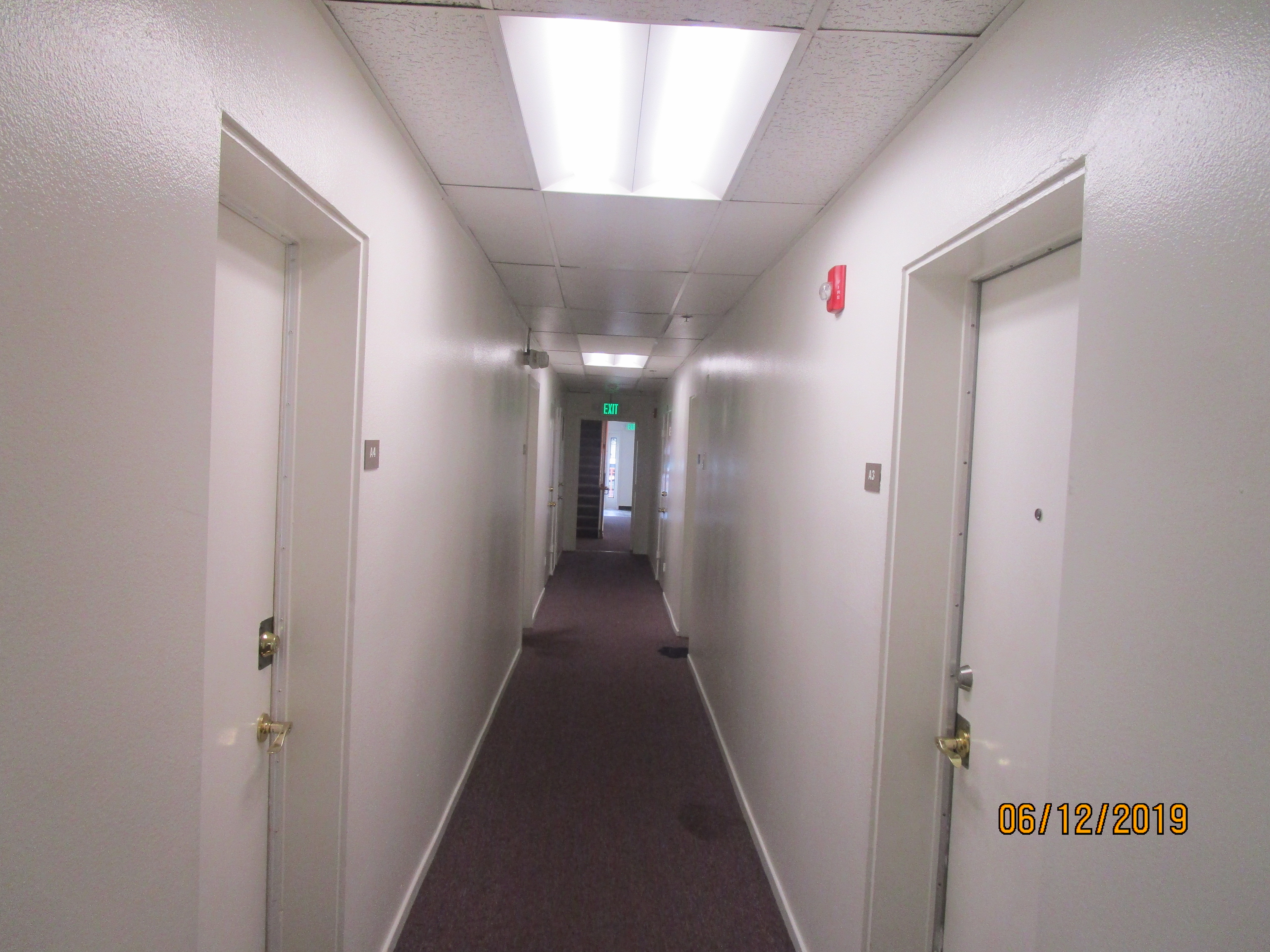 White walls hallway, unit white doors, brown carpet, office like ceiling lights.