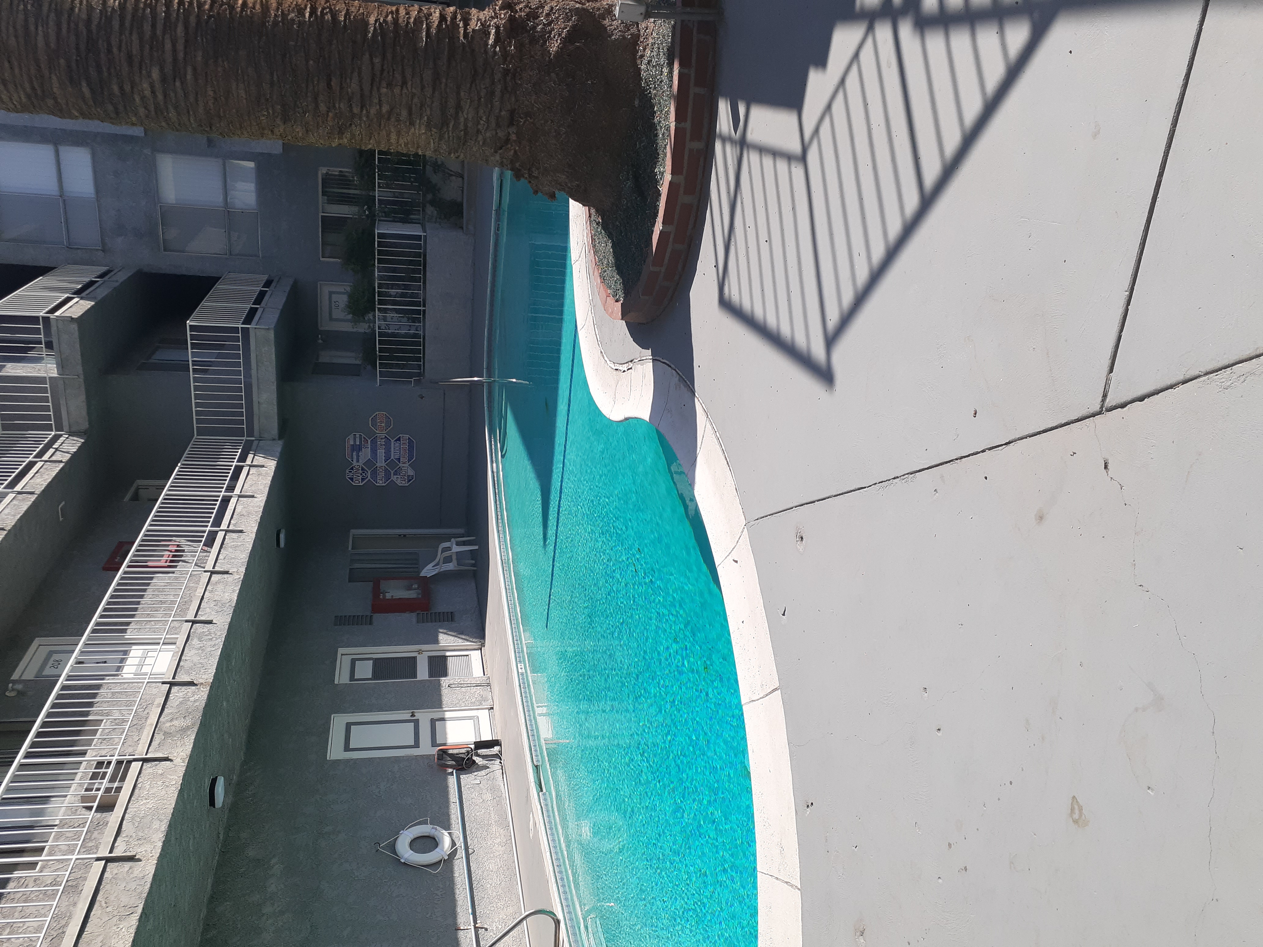 pool view