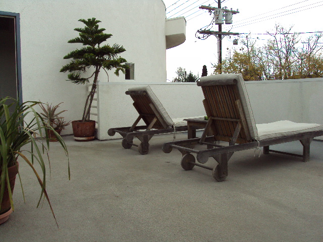 Patio view, two lounge wood chairs, small tree in a planter, other plants.