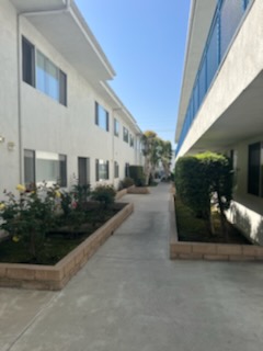 Casa Familiar De Nordhoff - View of landscaped walkway with plants and flowers.