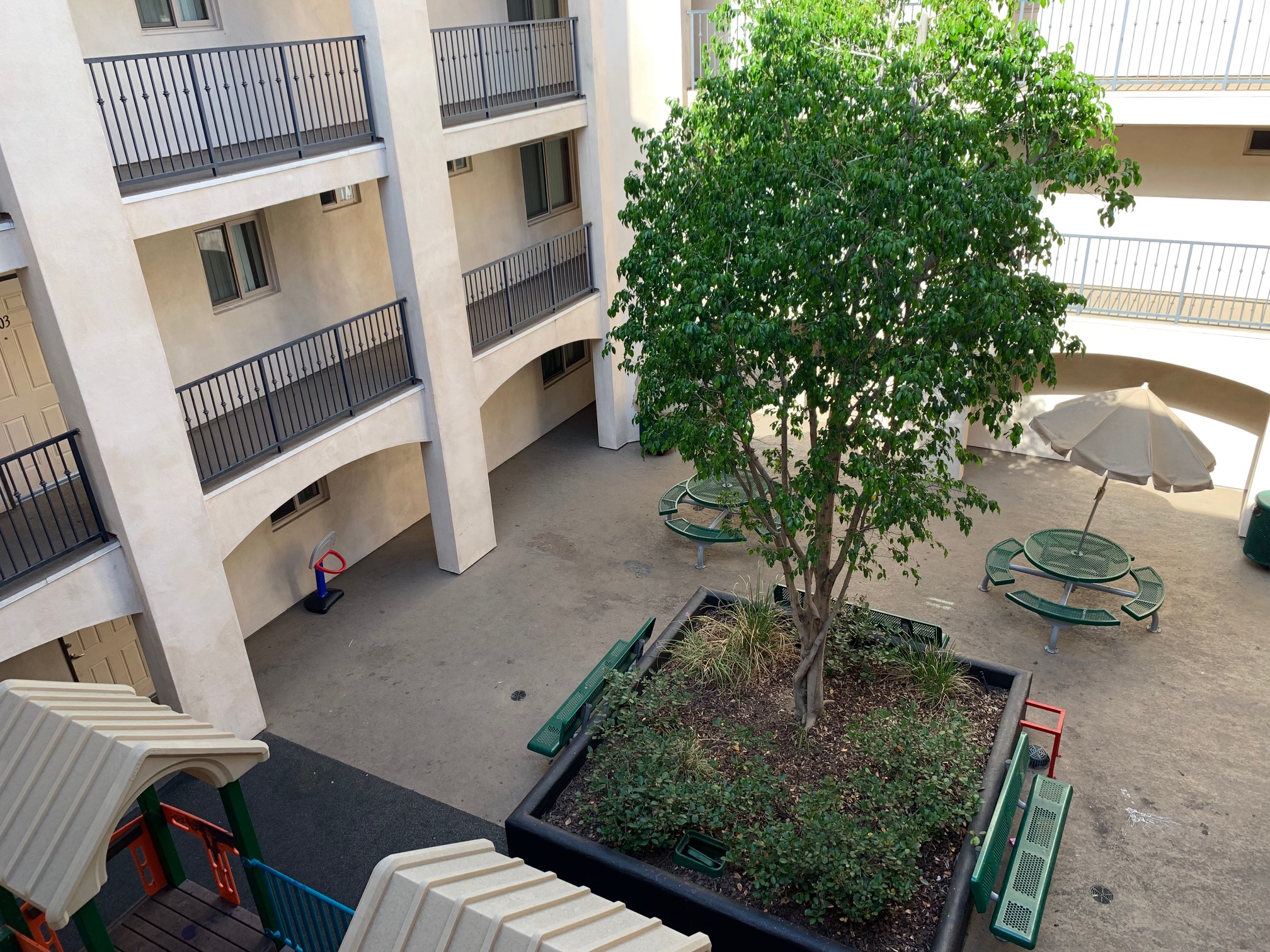 Exterior view of a courtyard with a large tree and umbrella picnic tables at the Mindanao