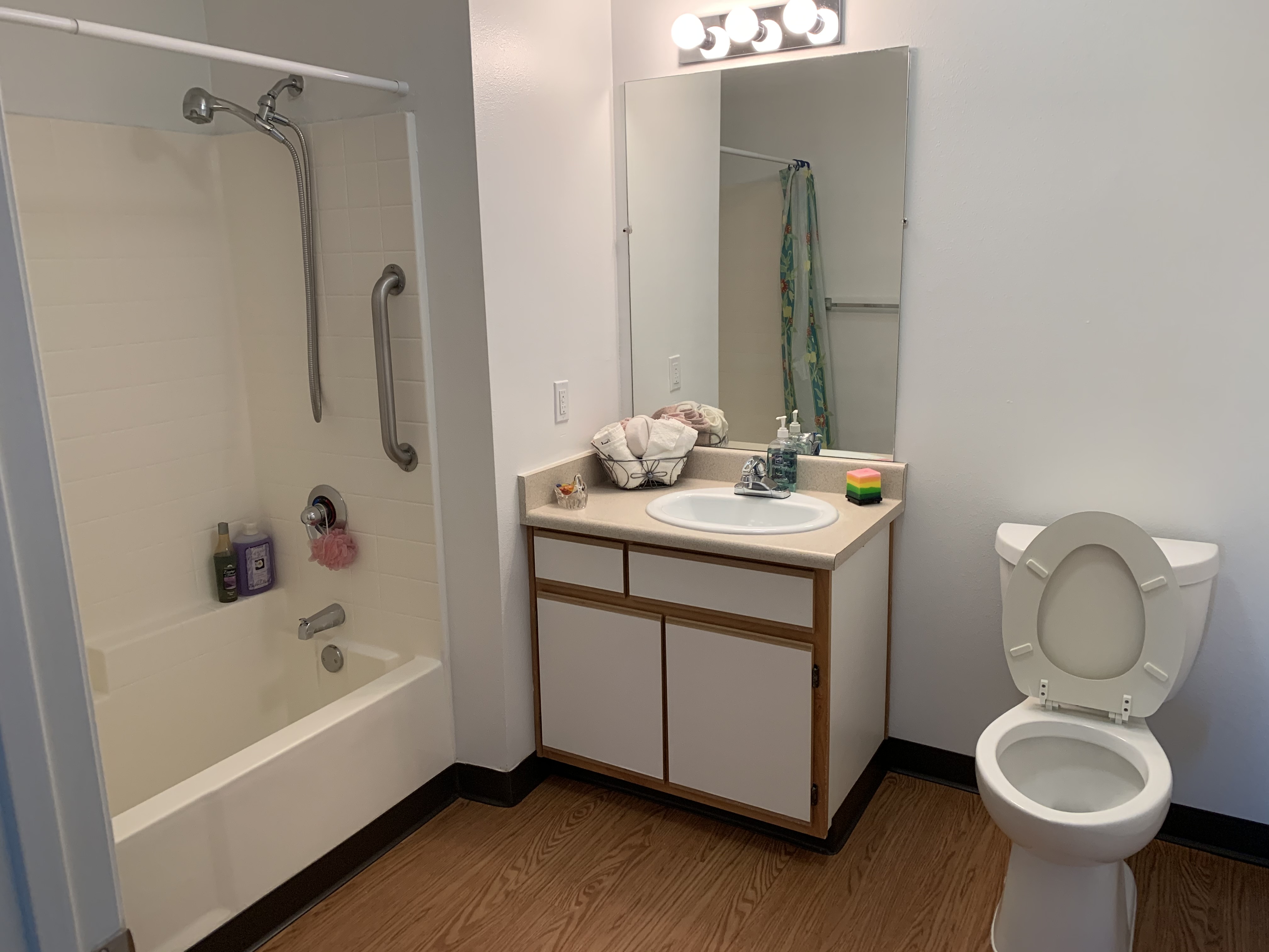 View of a bathroom. The bathtub has a grab bar and the shower head has hose. Next to it is a sink with lower canbinet, a mirror above it, and three light bulbs above the mirror, and a toilet next to the sink Room has wood flooring.