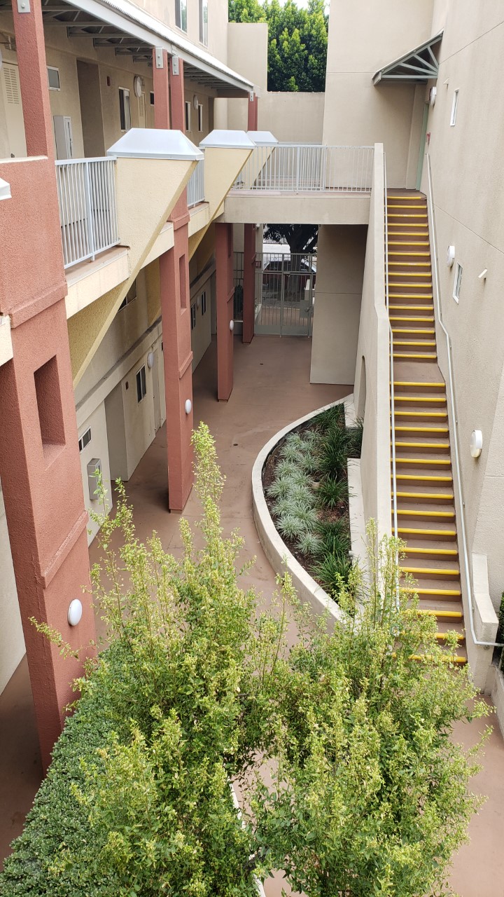 Top view of an outdoor staircase and a plant section next to it.