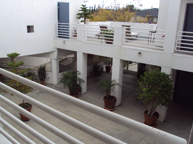 View of the hallway from the top floor, multiple big planters, two story views.
