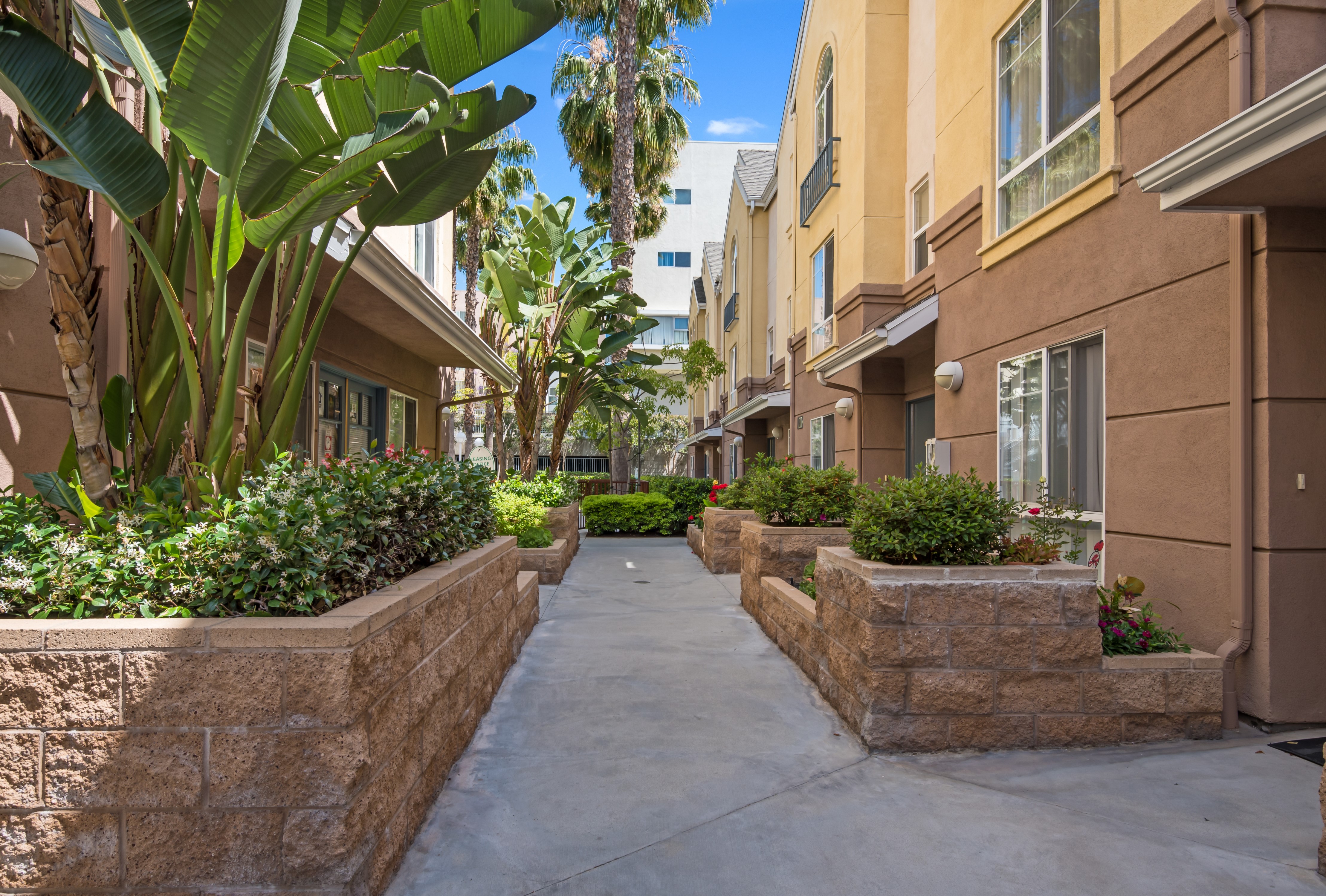 Exterior view of Western Carlton Apartments, cemented walkway with planters filled with shrubbery attached to the buildings on both sides of the walkway